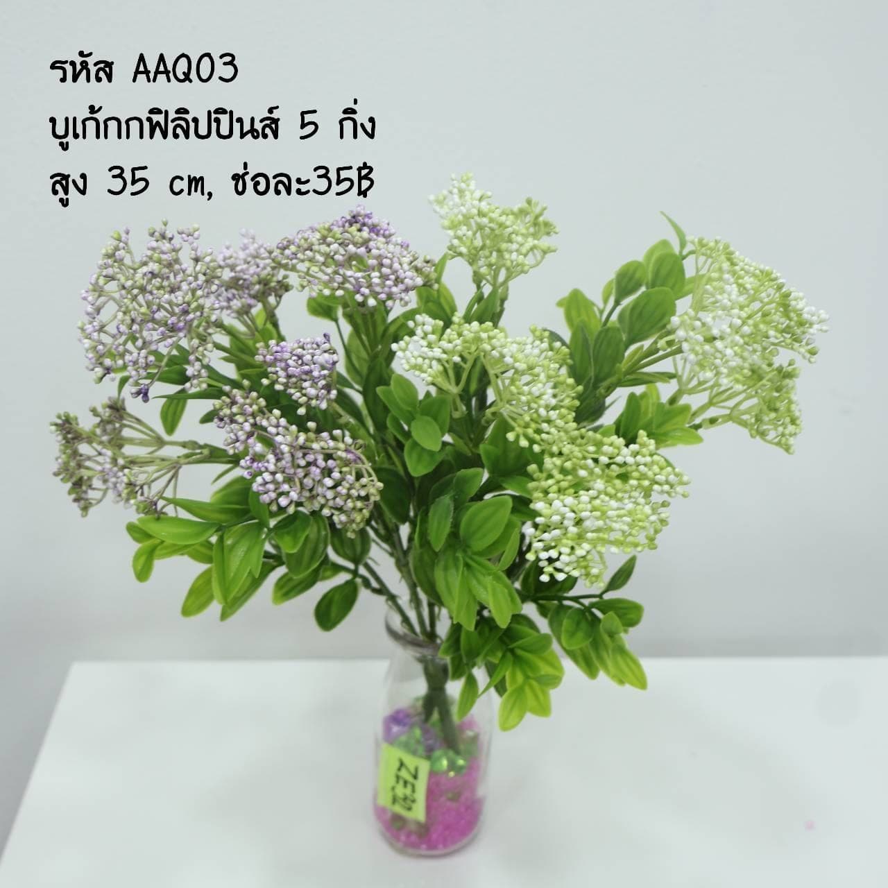 บูเก้กกฟิลิปปินส์ (AAQ03)