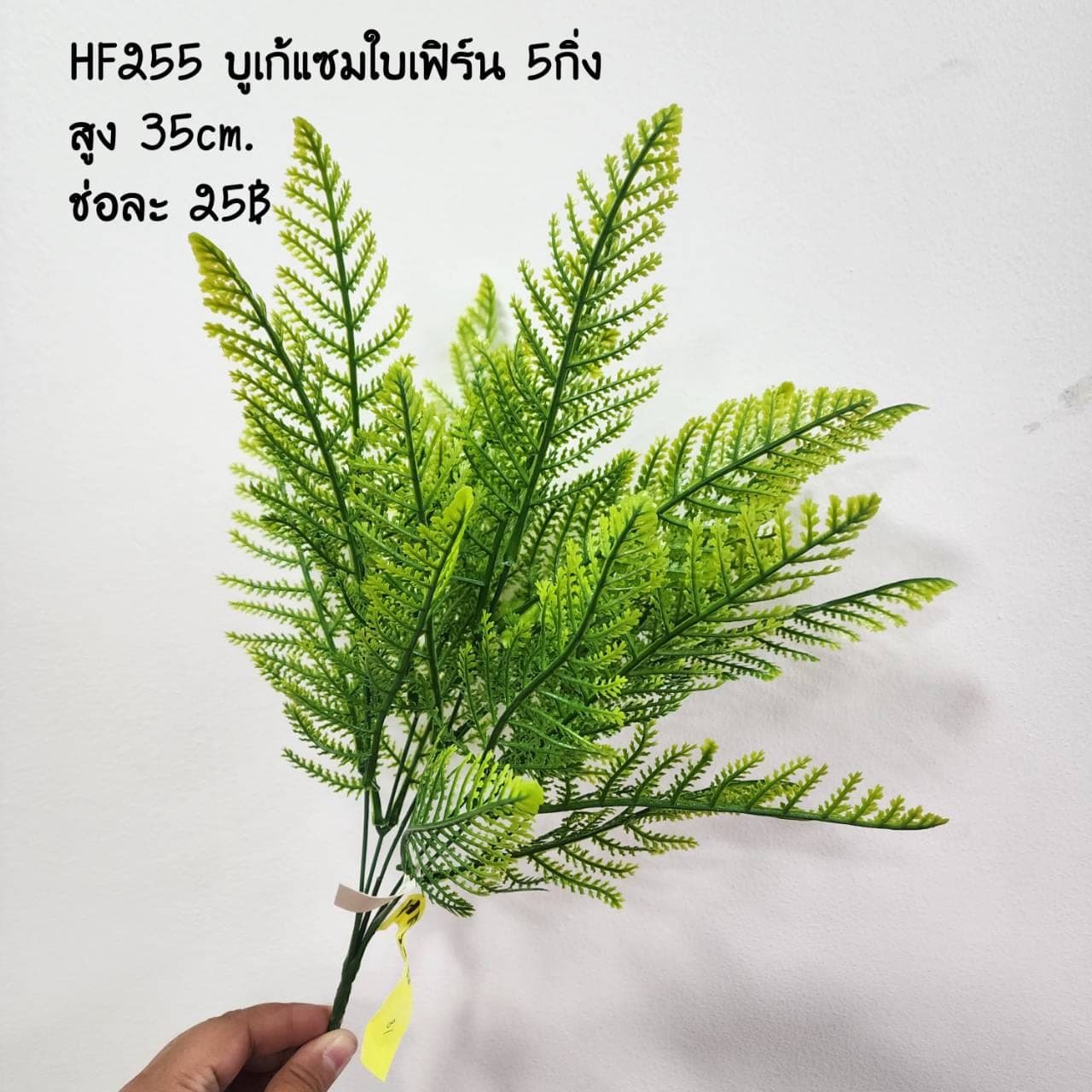 แซม (HF255)