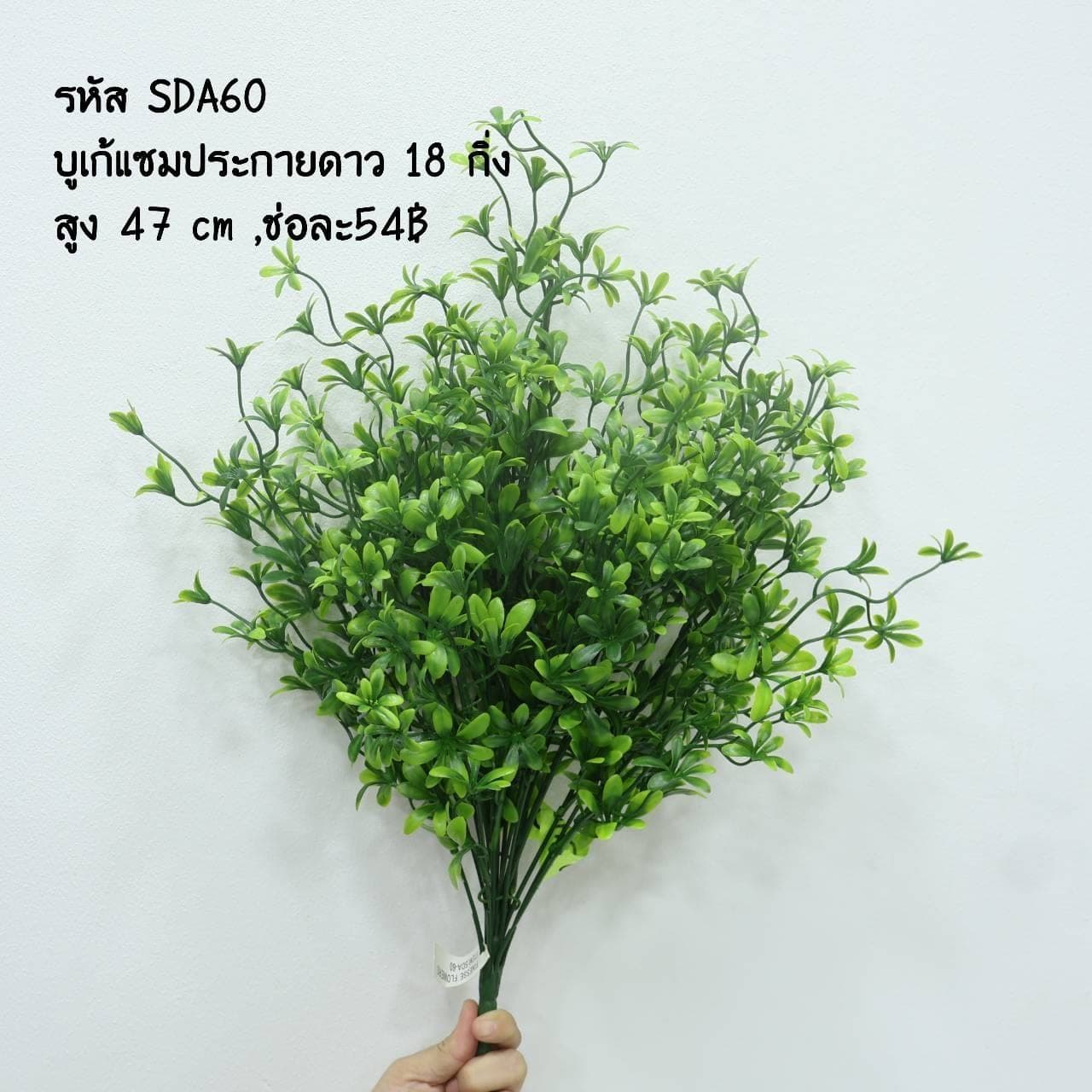 บูเก้แซมประกายดาว (SDA60)