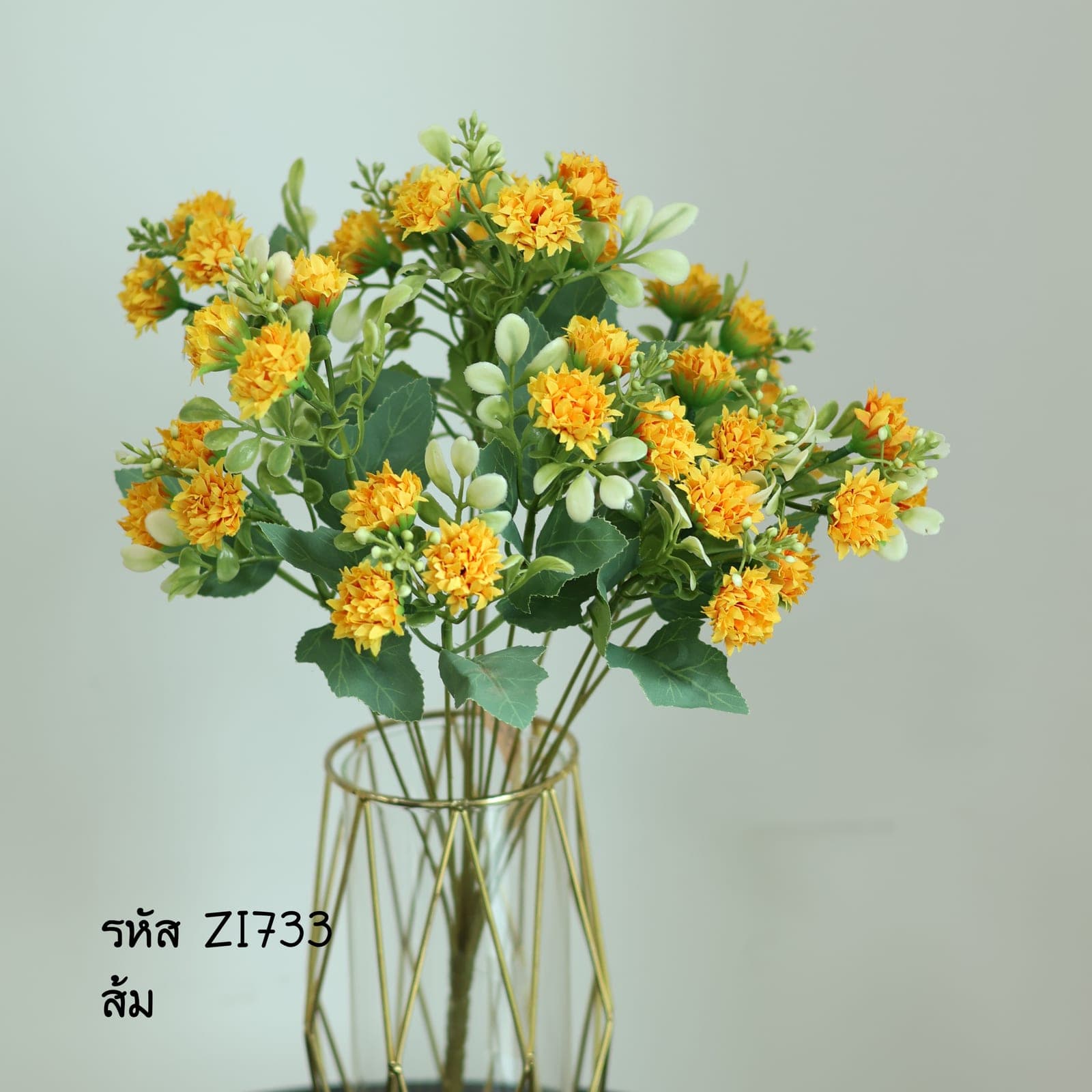บูเก้ลิโมเลี่ยม 13กิ่ง (ZI73)