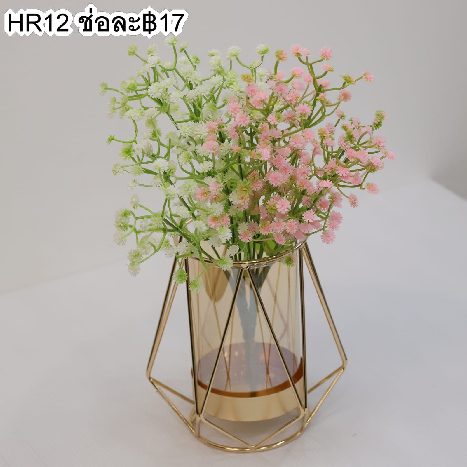 บูเก้ยิปโซแซม (HR12)