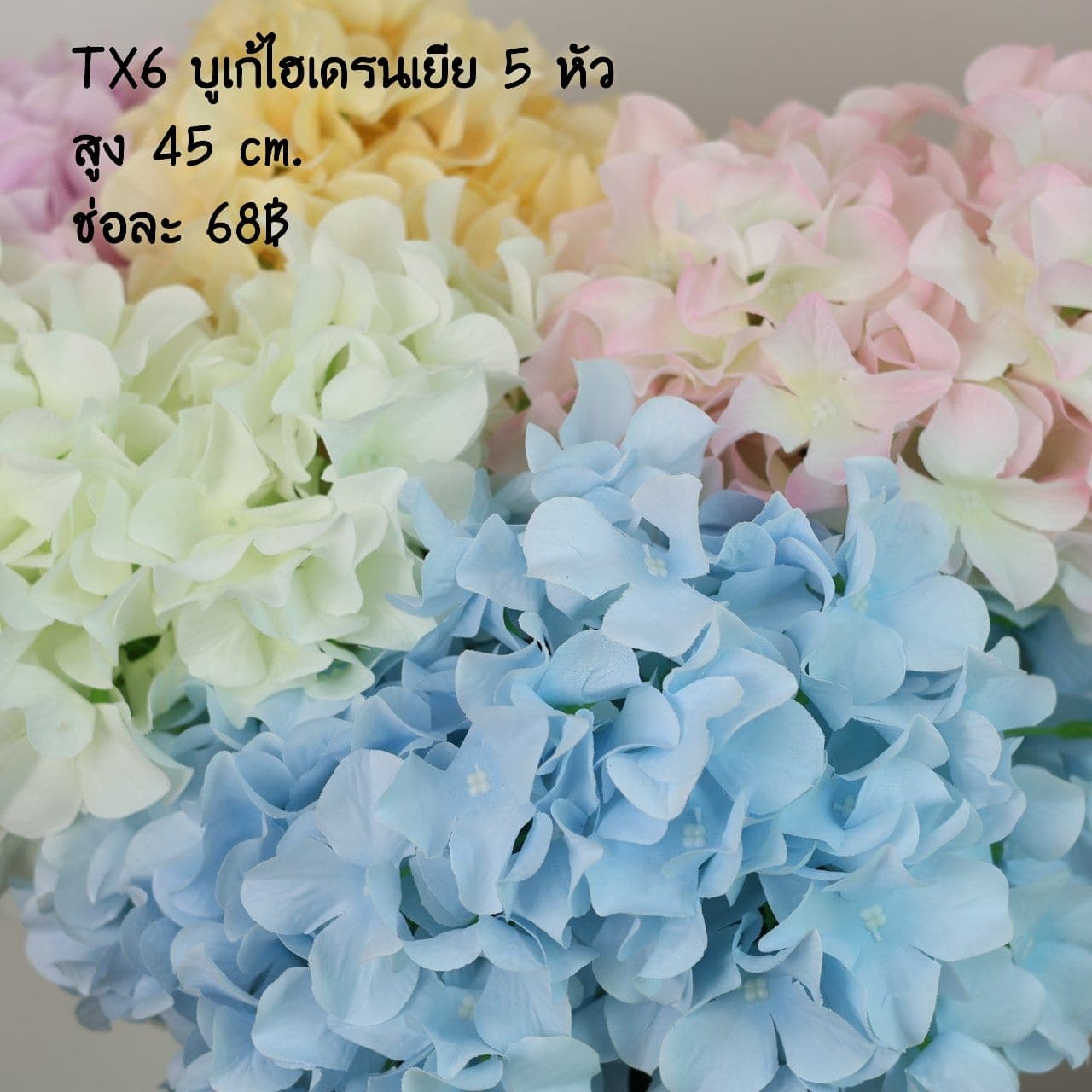 บูเก้ไฮเดนเยีย 5 หัว (TX06)
