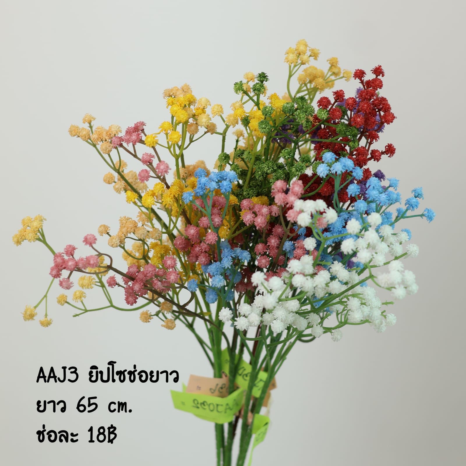ยิปโซช่วยาว ขาว (AAJ03)