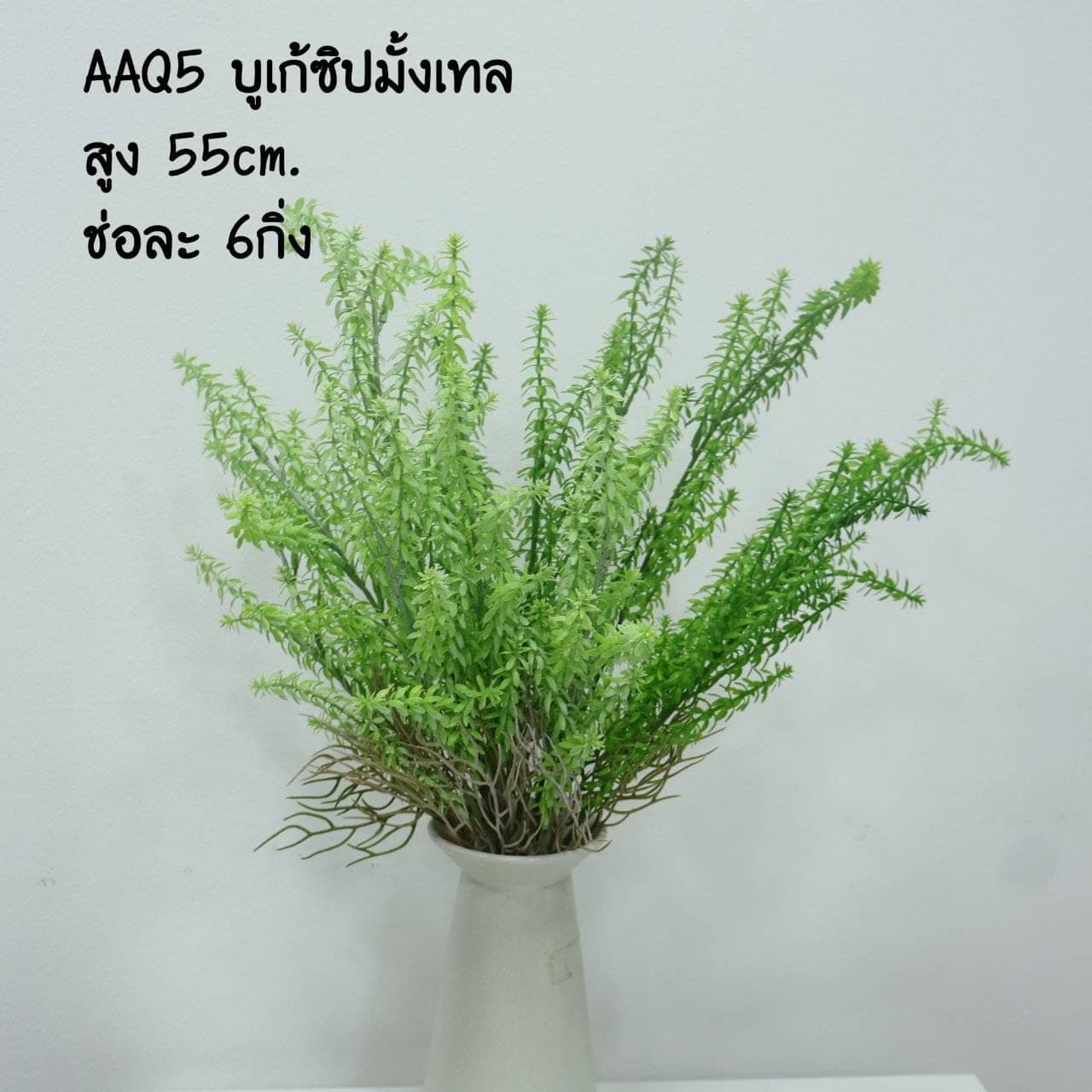 บูเก้ชิปมั้งเทล (AAQ05)
