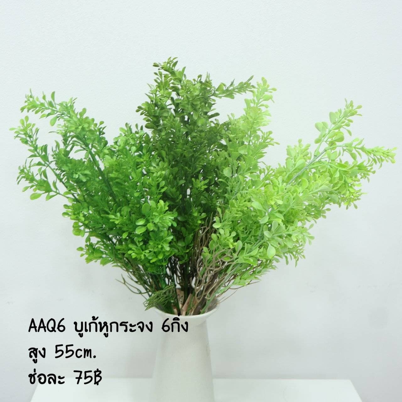 บูเก้หูกระจง (AAQ06)