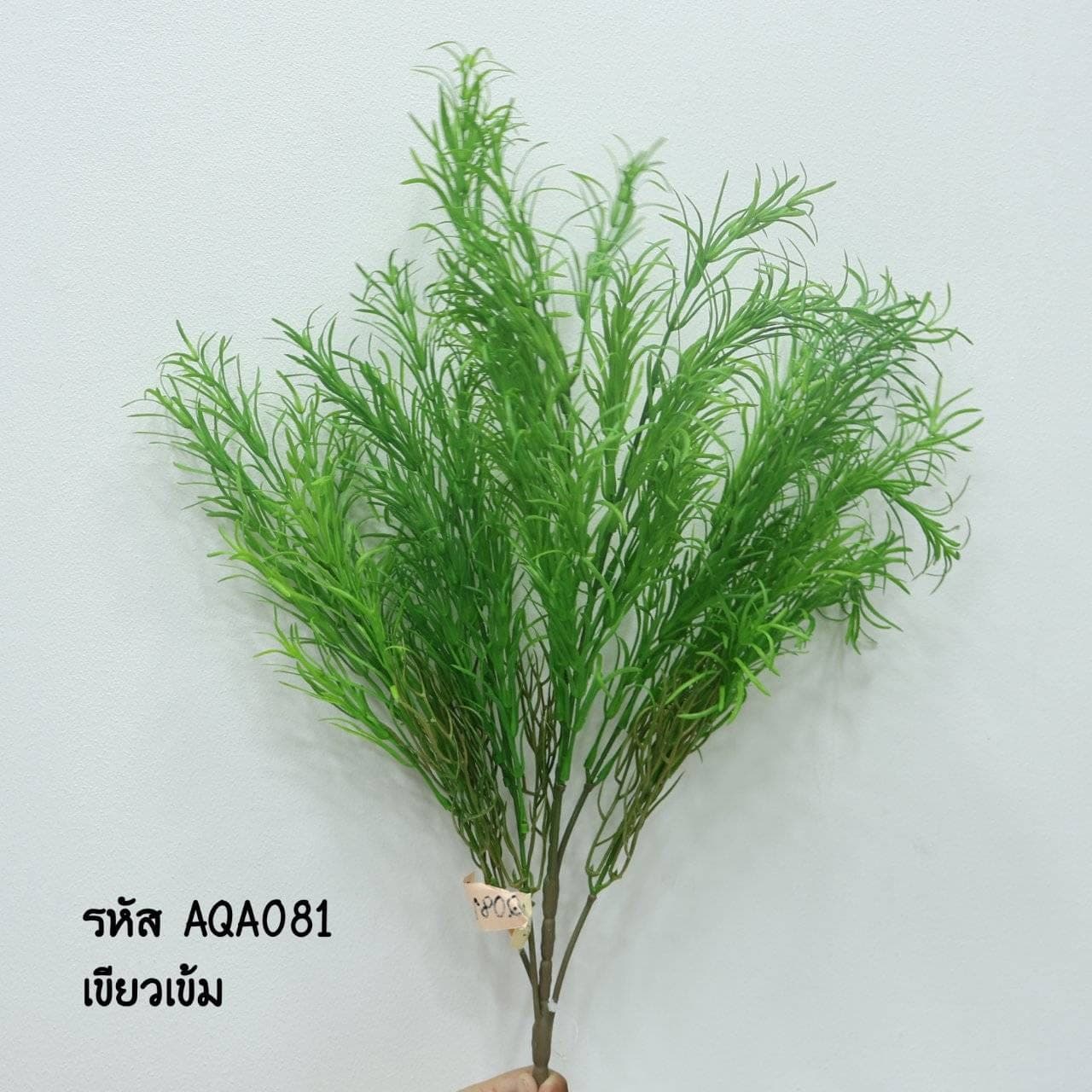 ใบปริกละอองดาว (AAQ08)