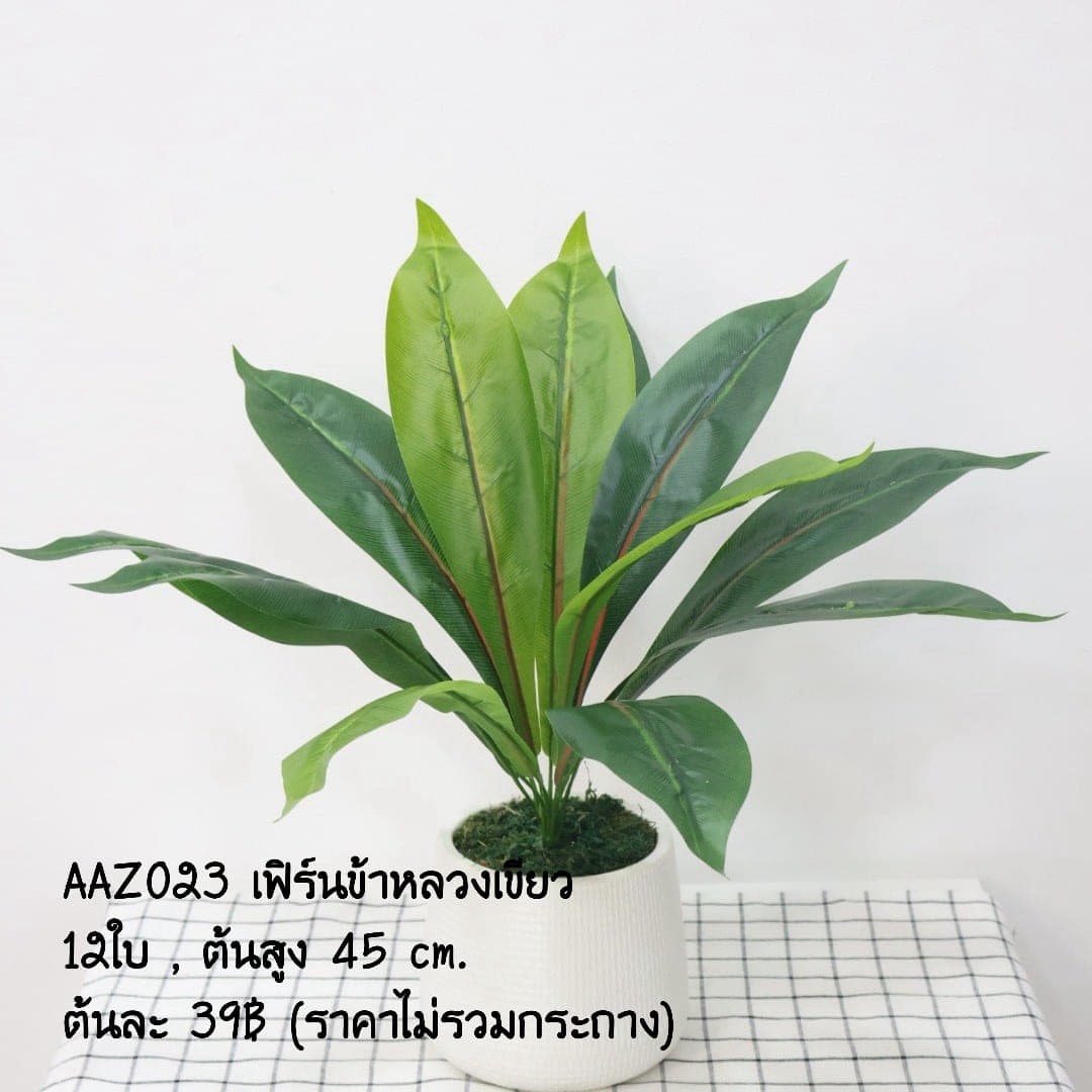 บูเก้ใบ (AAZ02)