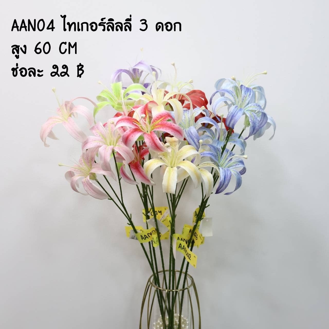 ไทเกอร์ลิลลี่ 3ดอก (AAN04)