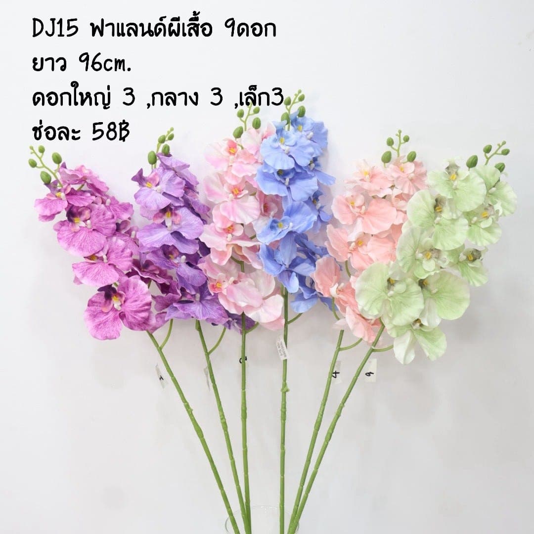 ฟาแลนด์ผีเสื้อ (DJ15)