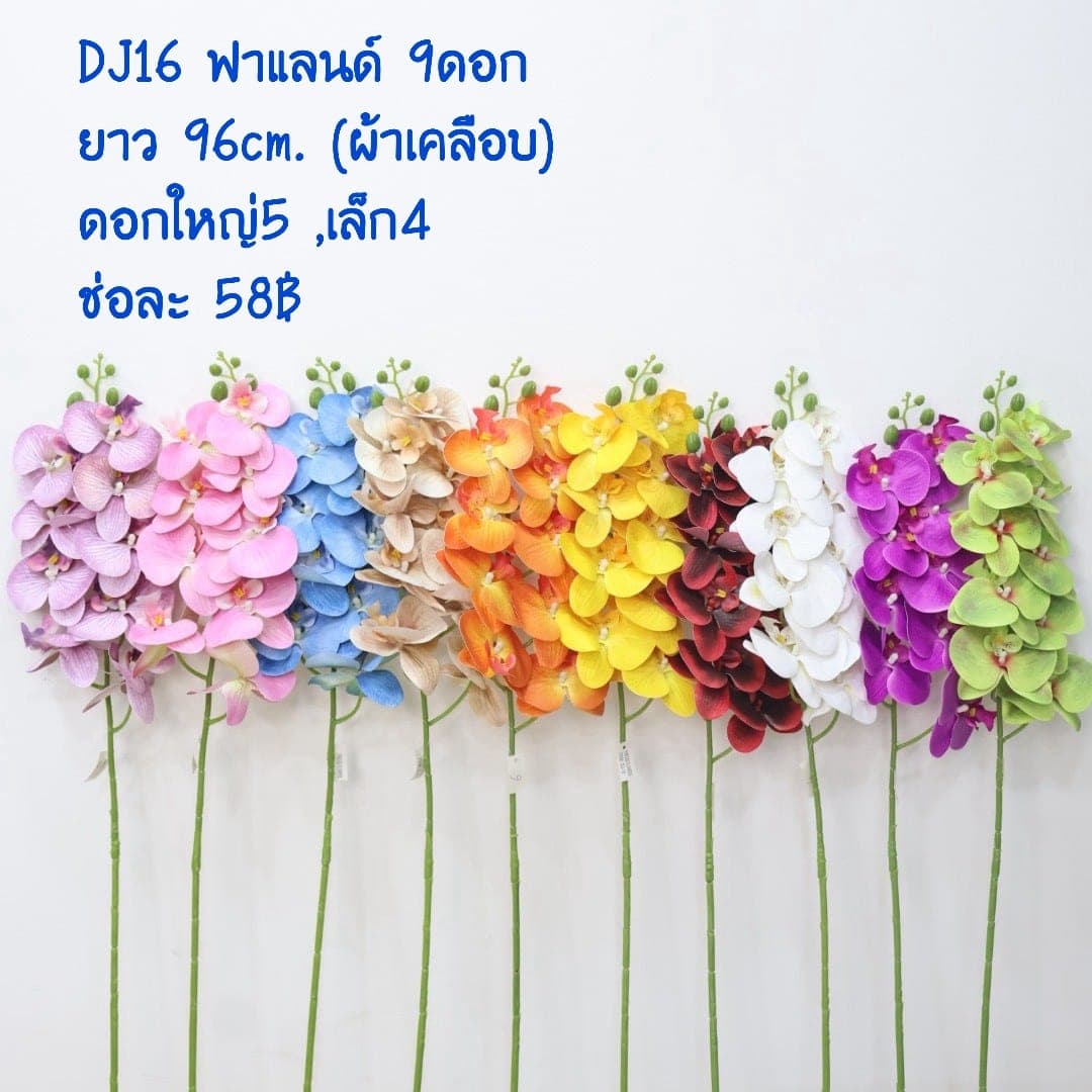 ฟาแลนด์ 9ดอก (DJ16)