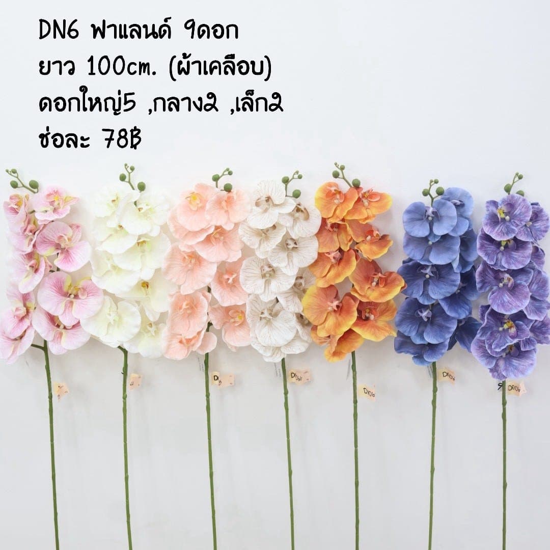 ฟาแลนด์งานยาง 9ดอก (DN06)