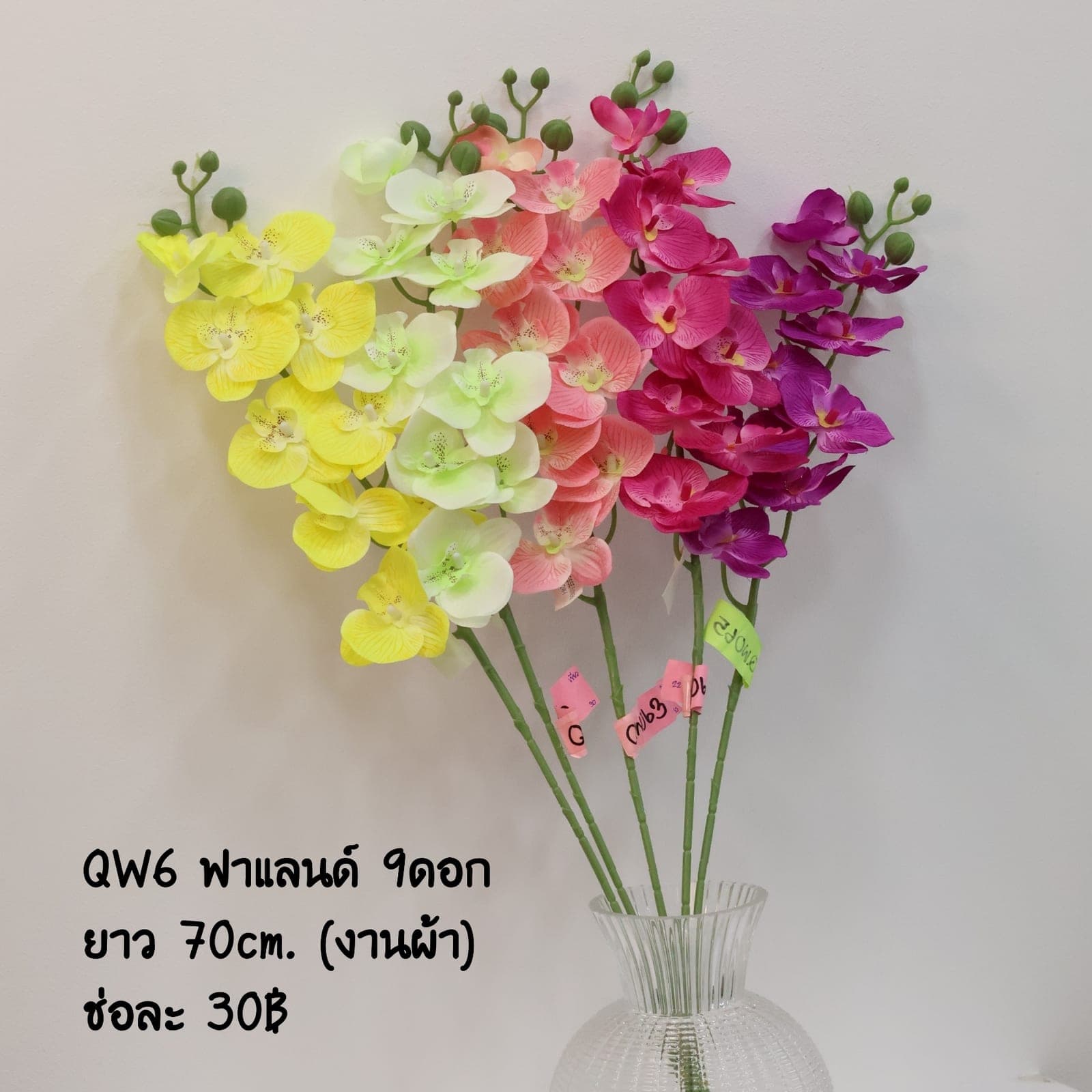 ฟาแลนด์ 9 ดอก (QW06)