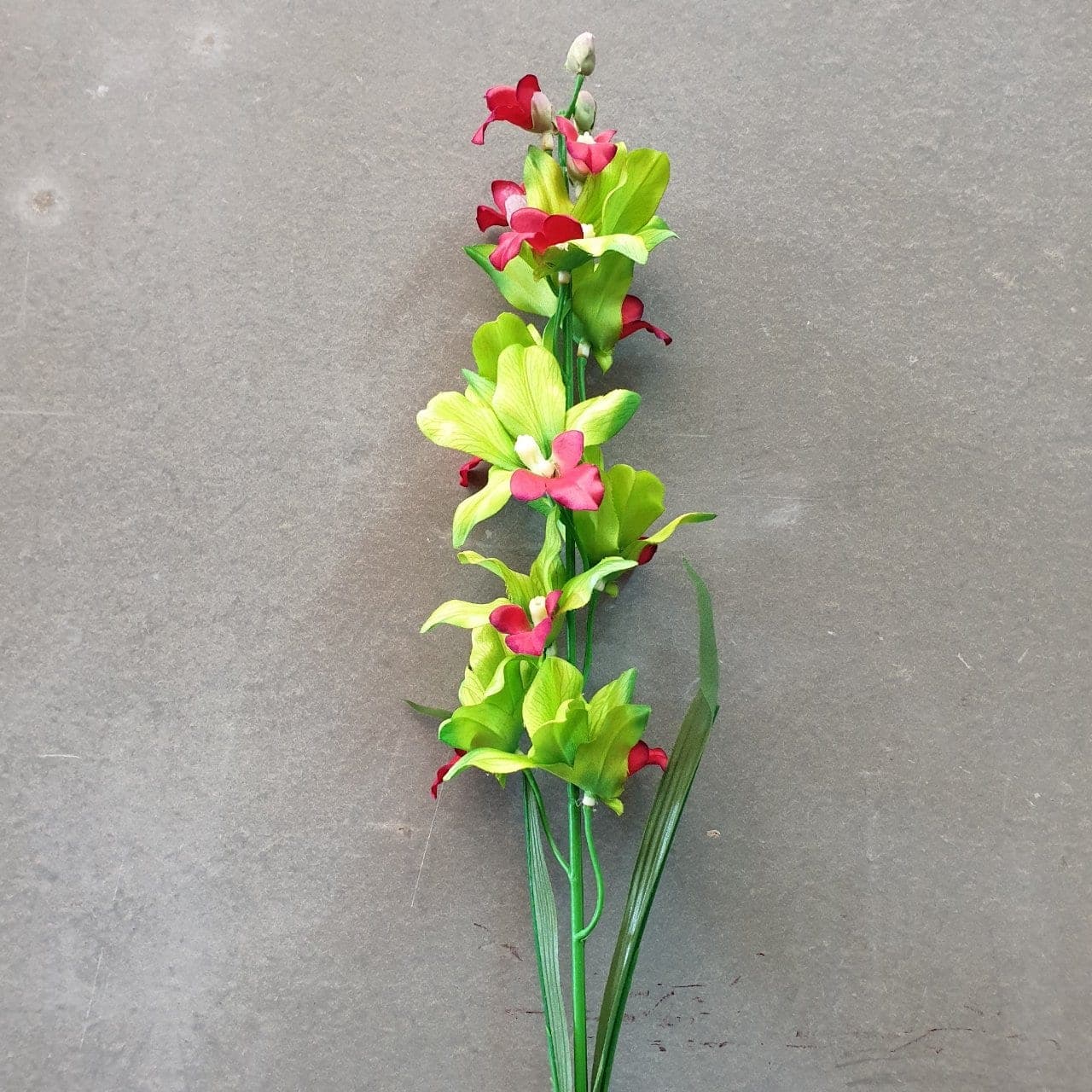กล้วยไม้มาดามปอม P 395 (X7UF4WX), Orchid: an arched spray with wax-thin petals for floating, architectural lines.