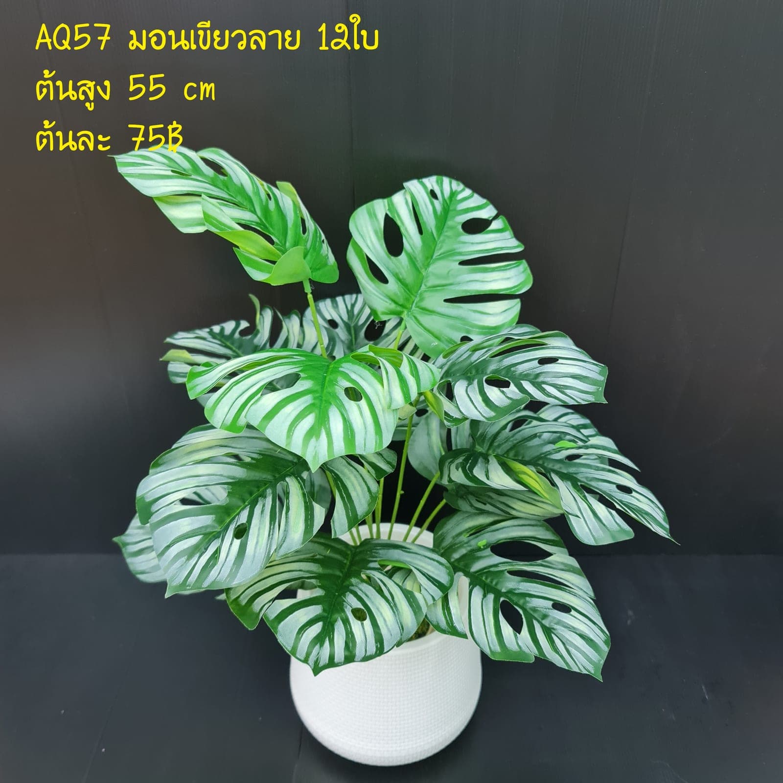 มินเขียวลาย (AQ57), Styling piece — an accent piece used to round out the overall styling.