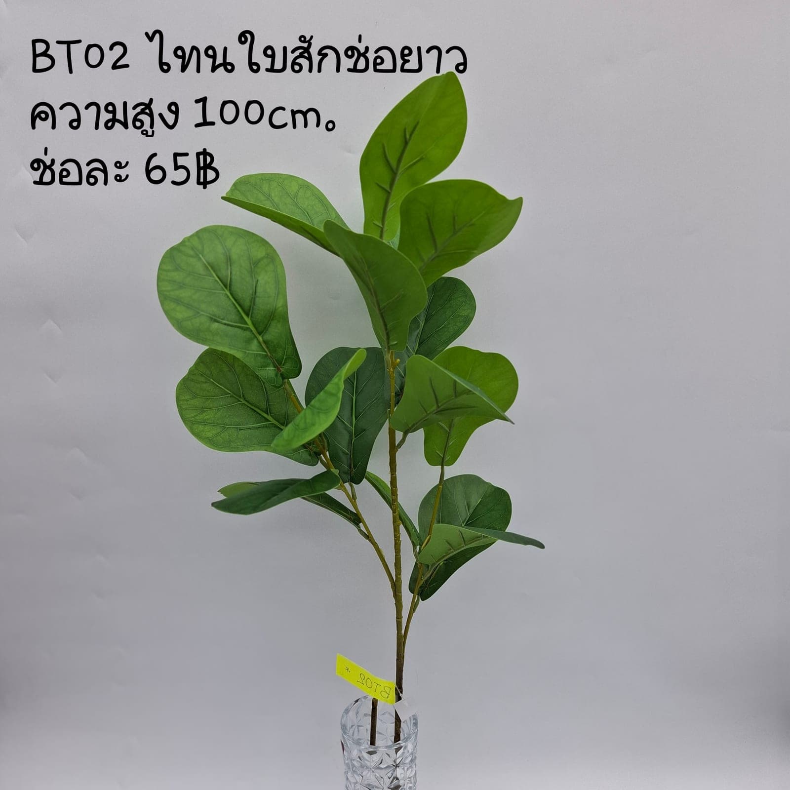 ไทรใบสักช่อยาว (BT02), Foliage — green foliage that balances mass and grounds the focal flowers.