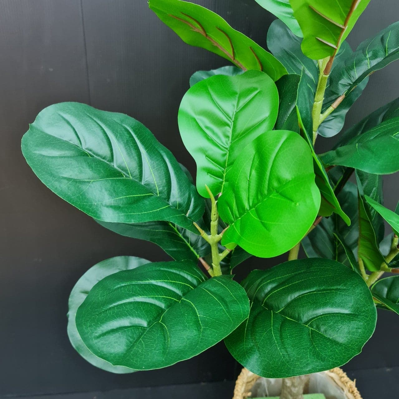 ไทรใบสัก (WY46,WY47), Foliage: leaf material that lends weight and texture along the rim of a vessel.