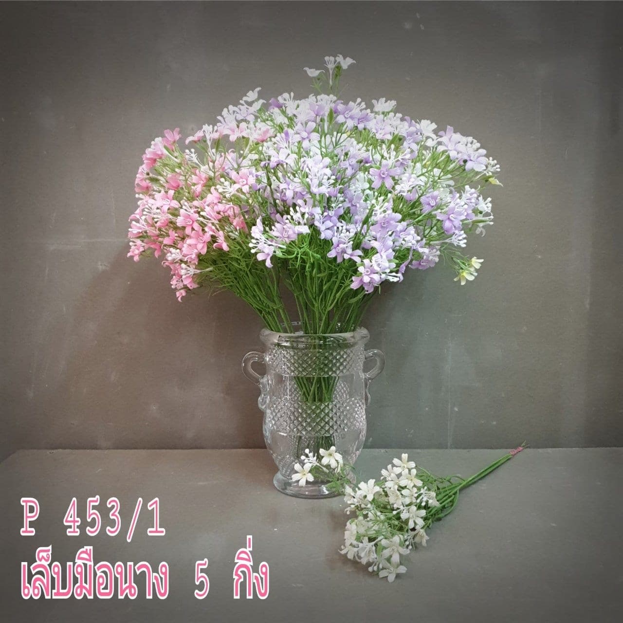 เล็บมือนาง 5กิ่ง (X6E0PQ3), Potted houseplant (5 branches): a fully formed plant ready to drop into a planter or sit in a corner.