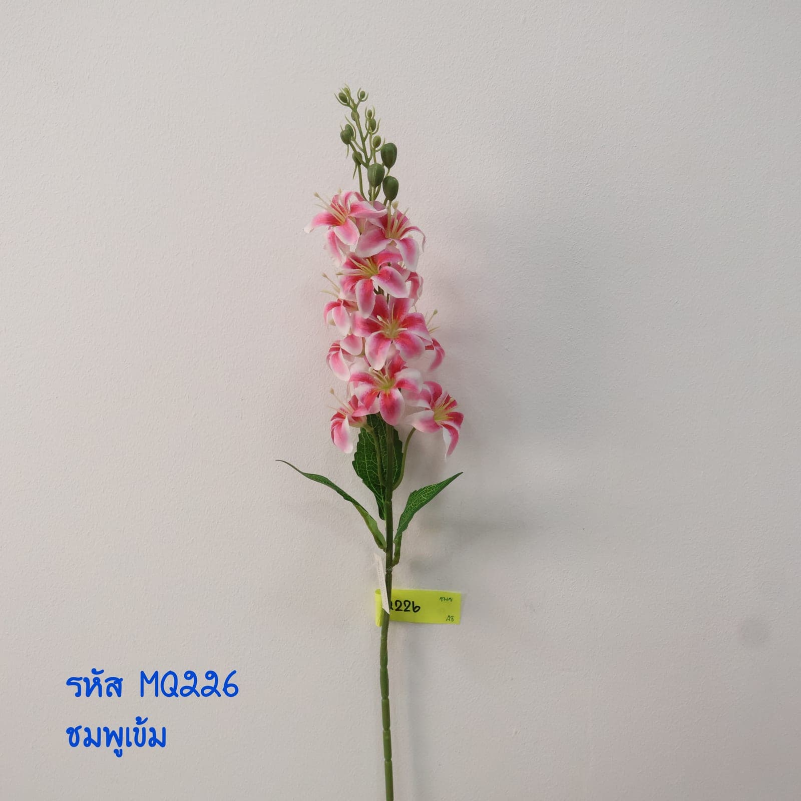 ไฮยาซินช่อยาว (MQ22)