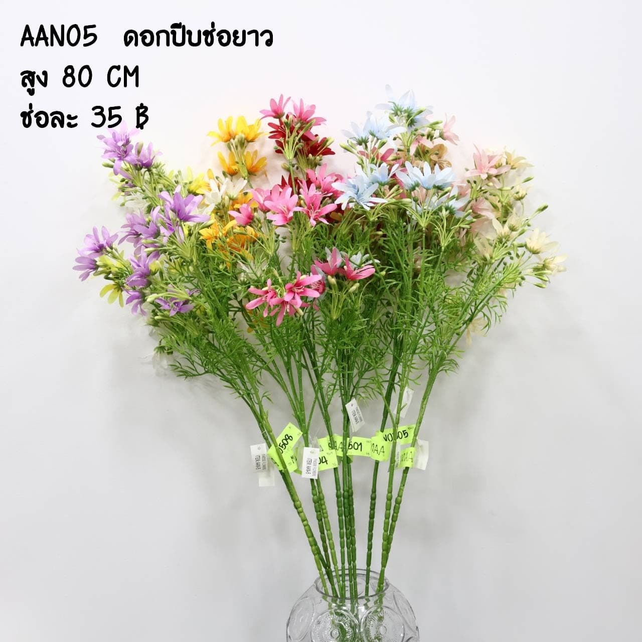 ดอกปีบช่อยาว (AAN05)