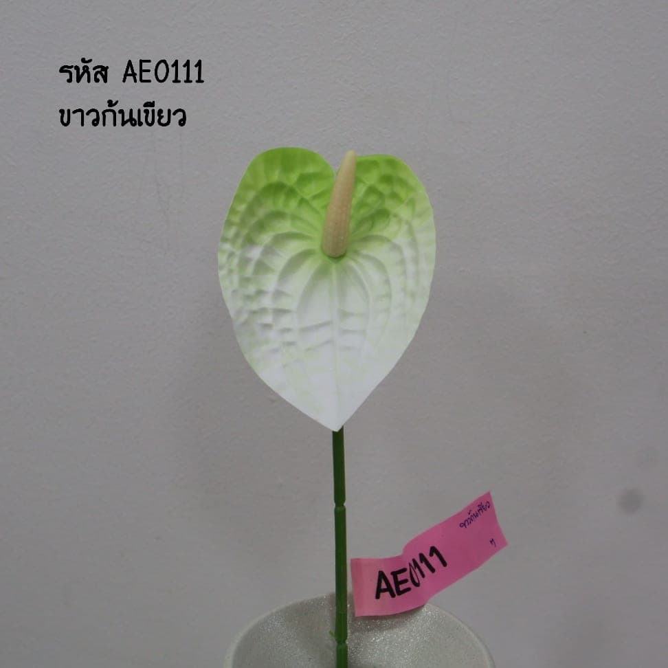 หน้าวัว (AE01)