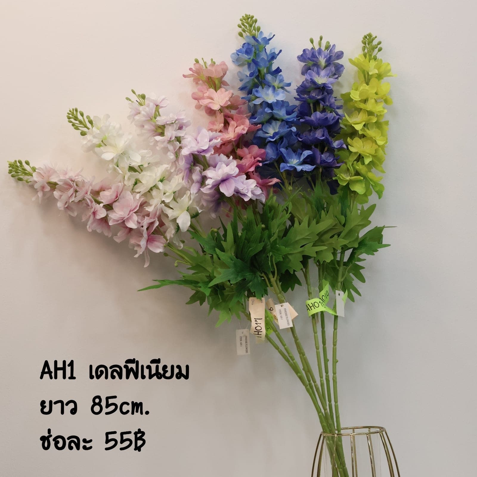 เดลฟีเนียม (AH01)