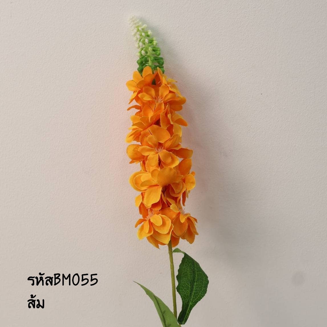 ไลทั่มเดี่ยว (BM05)