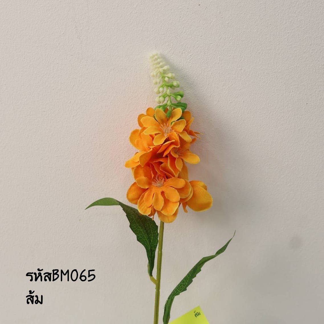 ไลทั่มเล็ก (BM06)