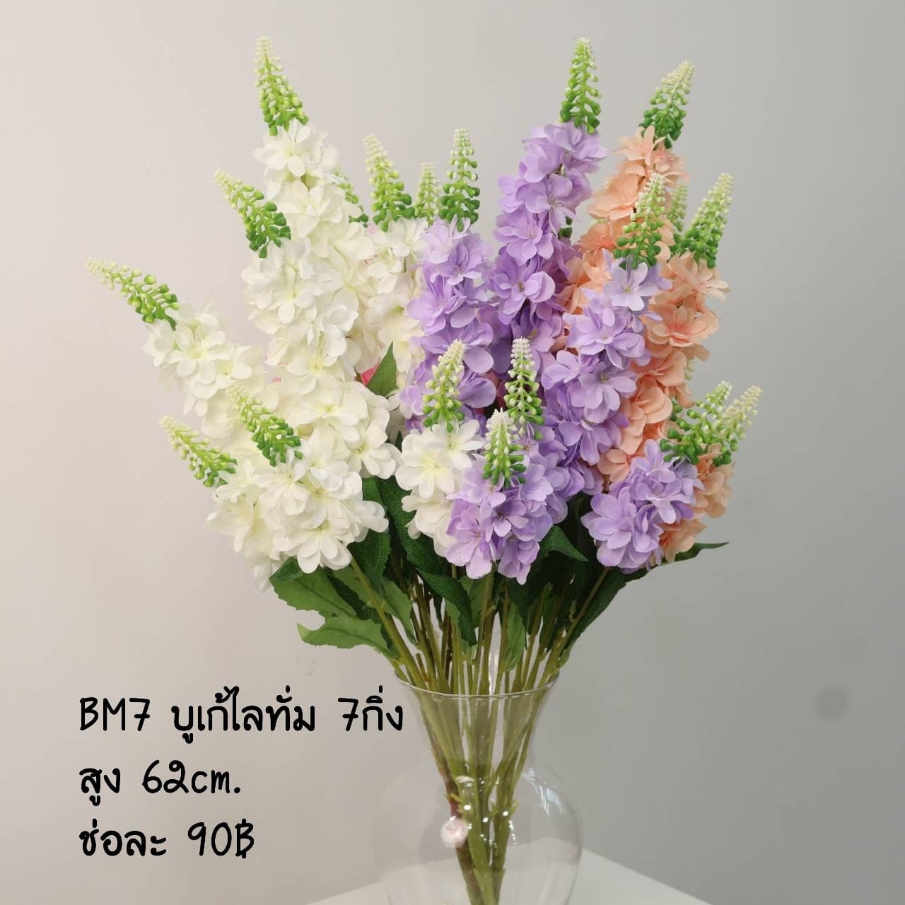 บูเก้ไลทั่ม (BM07)