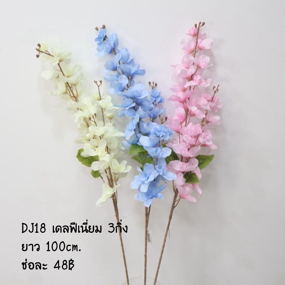 เดลฟีเนียมช่อยาว (DJ18)