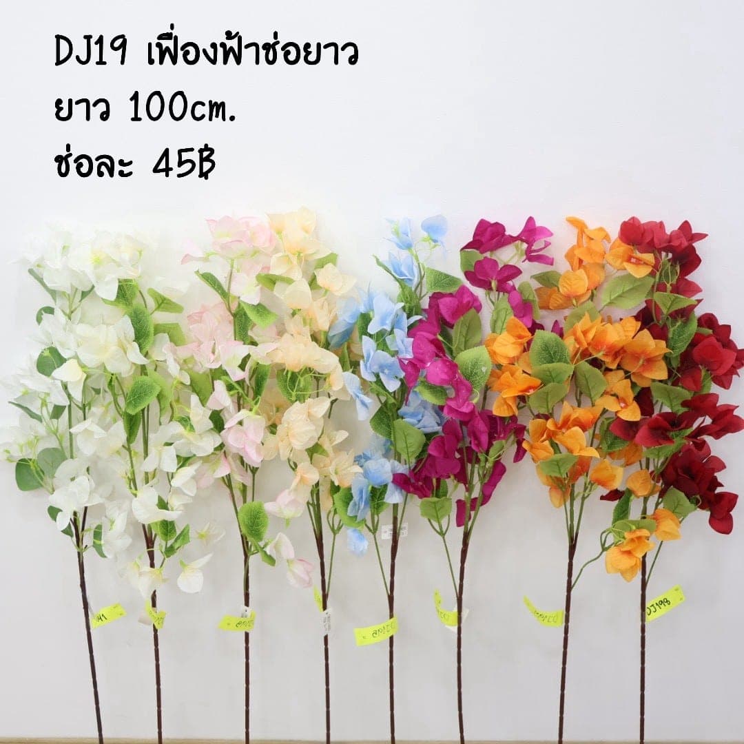 เฟื่องฟ้าช่อยาว (DJ19)
