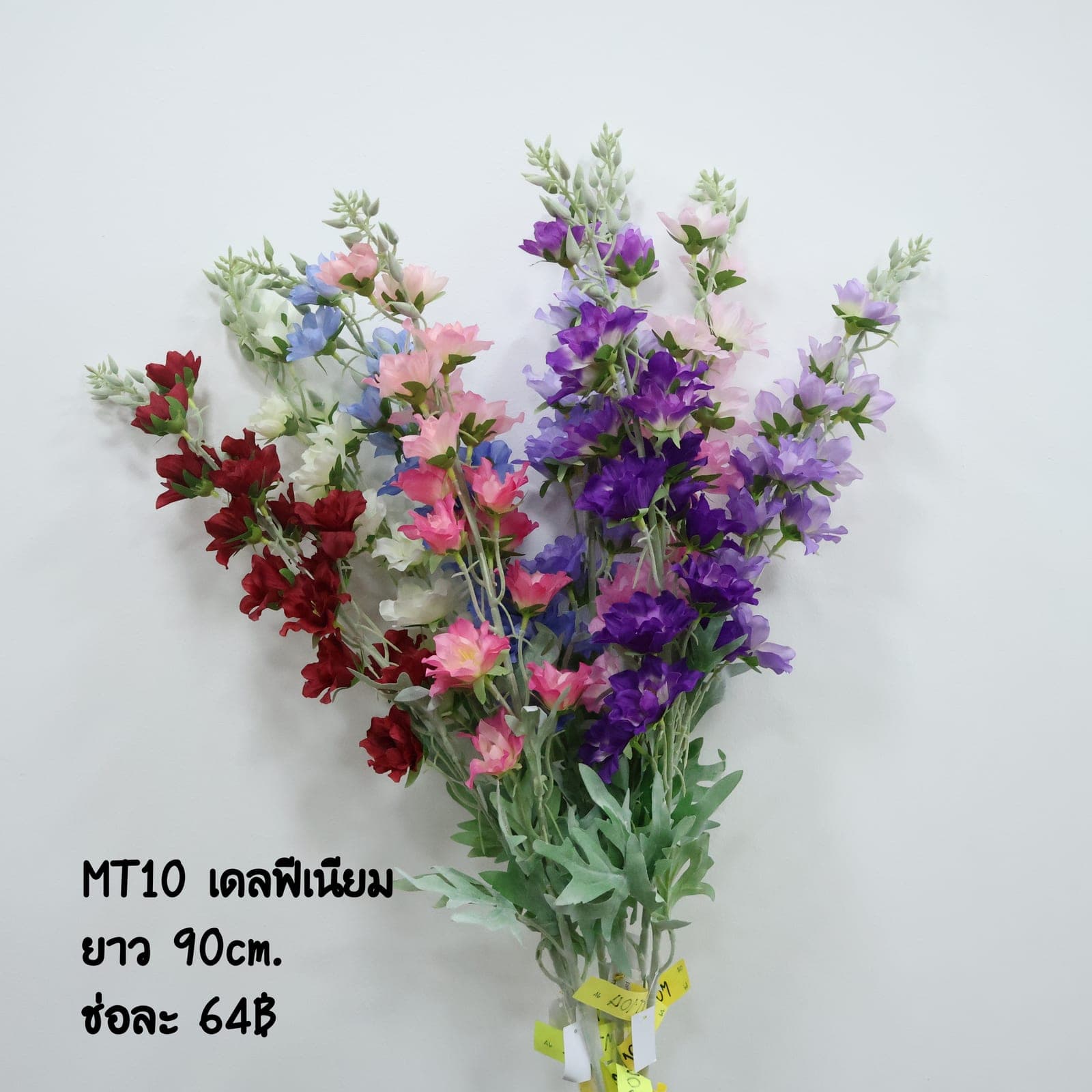 เดลฟีเนียม (MT10)