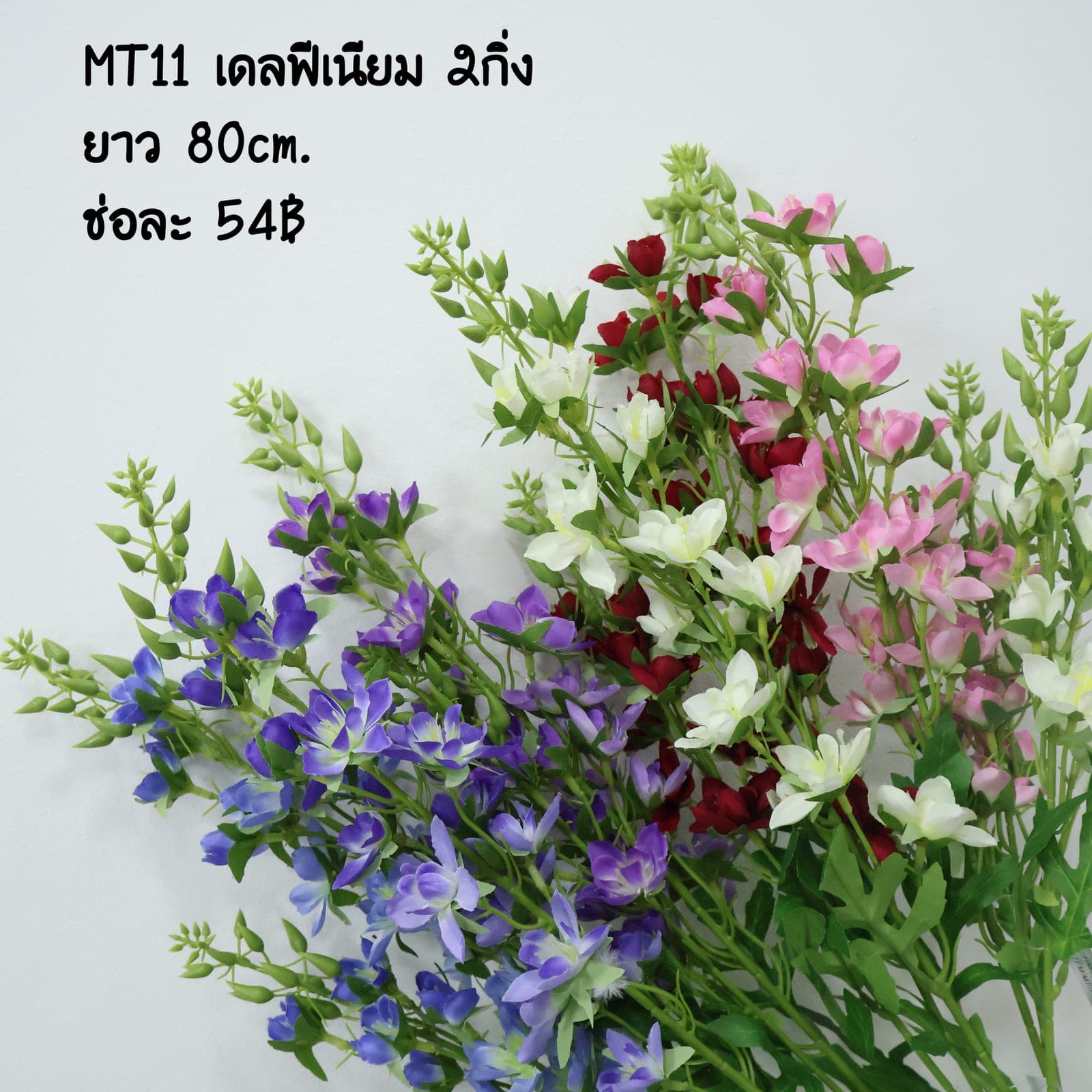 เดลฟีเนียม 2กิ่ง (MT11)