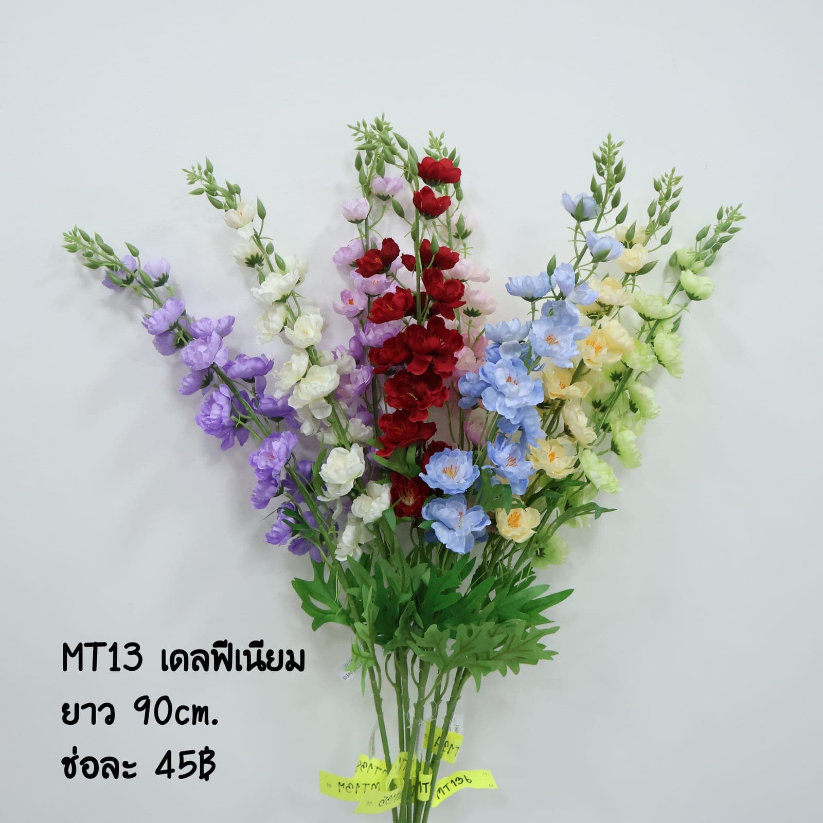 เดลฟีเนียม (MT13)