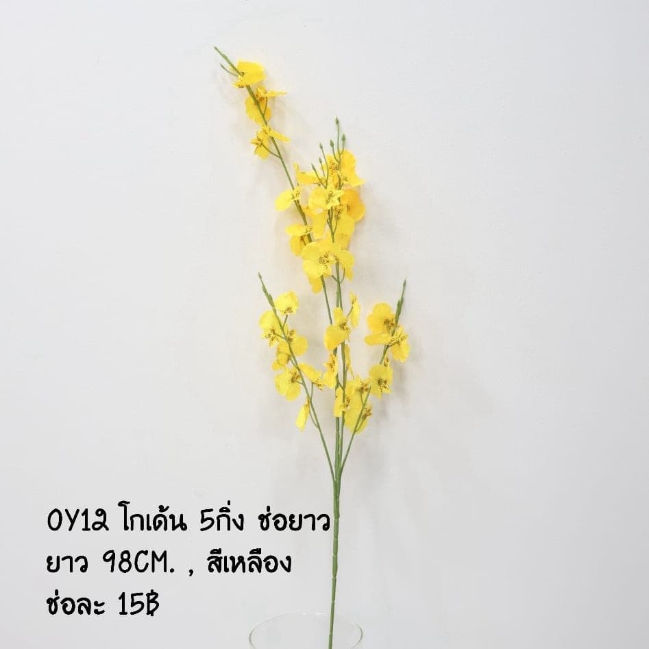 โกเด้น 5กิ่ง (OY12)